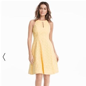 Lace Halter Aline dress